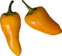 蔬菜-甜椒