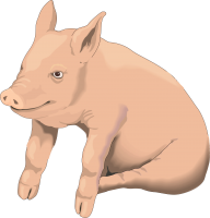动物-图片猪形象