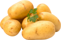 蔬菜-土豆