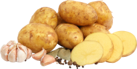 蔬菜-土豆