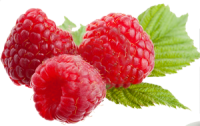 水果、坚果-Rraspberry图像