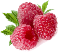 水果、坚果-Rraspberry图像