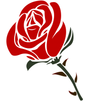 花-玫瑰