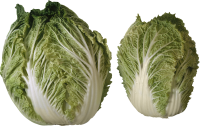 蔬菜-色拉图像
