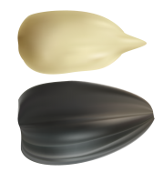 水果、坚果-葵花籽