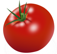 蔬菜-西红柿