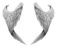 幻想，宗教-白色的翅膀